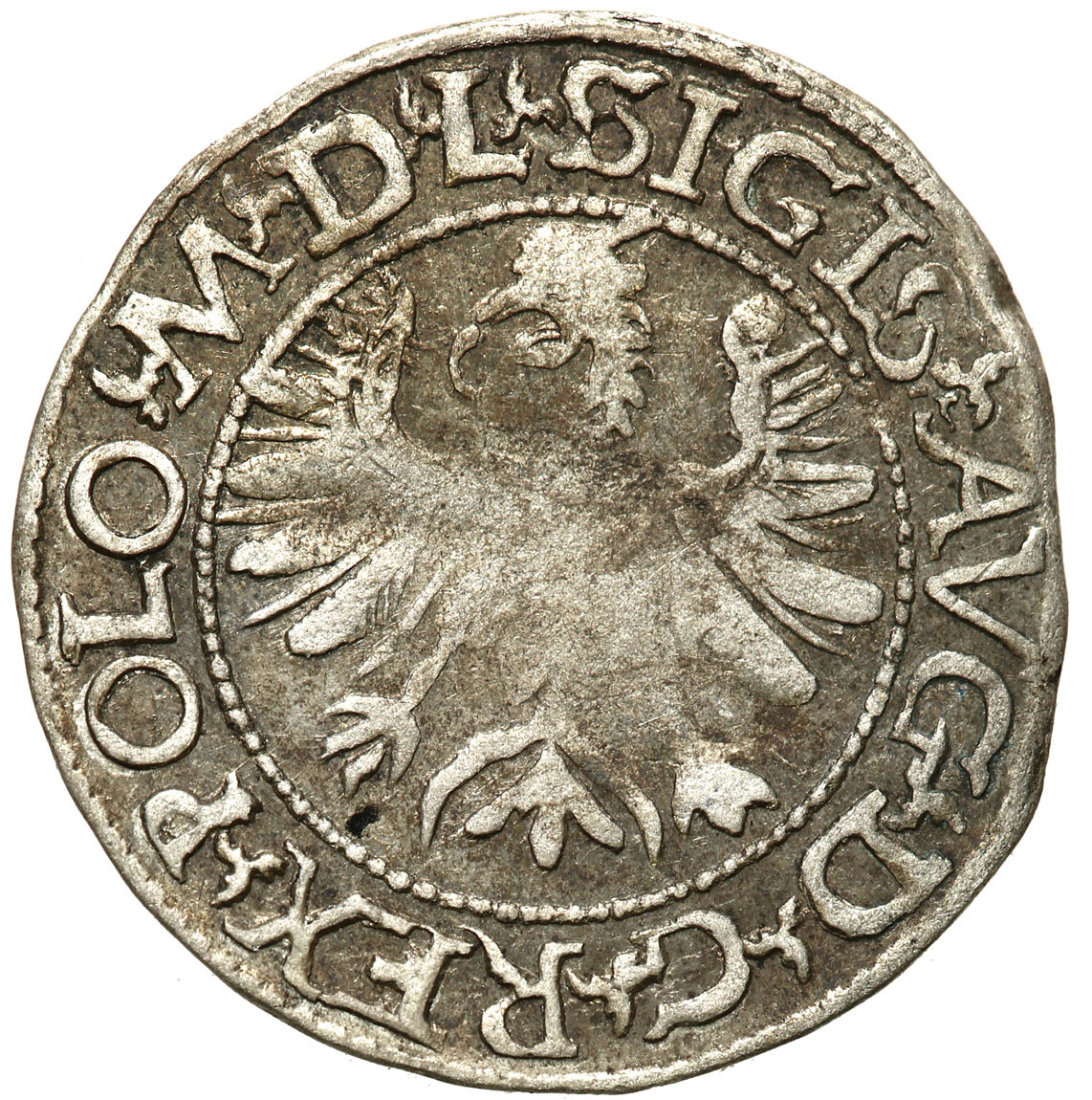 Zygmunt II August. Półgrosz 1566, Tykocin - RZADKOŚĆ R5